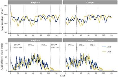 Appropriate Use of Local Phosphate Rock Increases Phosphorus Use Efficiency and Grain Yield of Sorghum and Cowpea in the Sudan Savanna